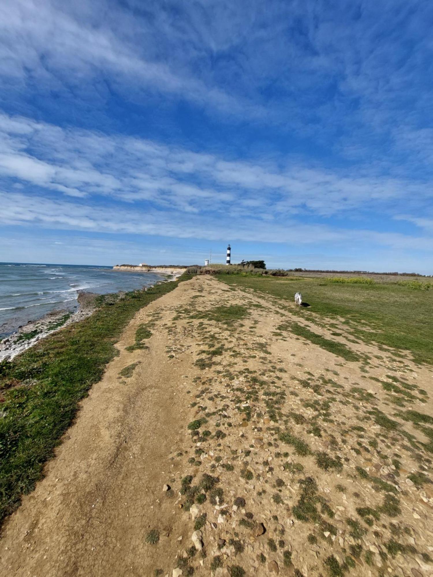 Maison A 8 Min A Pied De La Plage Avec Jardin Clos Et Ombrage Сен-Жорж-д'Олерон Экстерьер фото